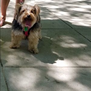 Meet your Posher, Karen